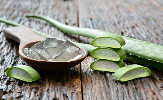 Aloe Vera Pflanze mit Holzlöffel