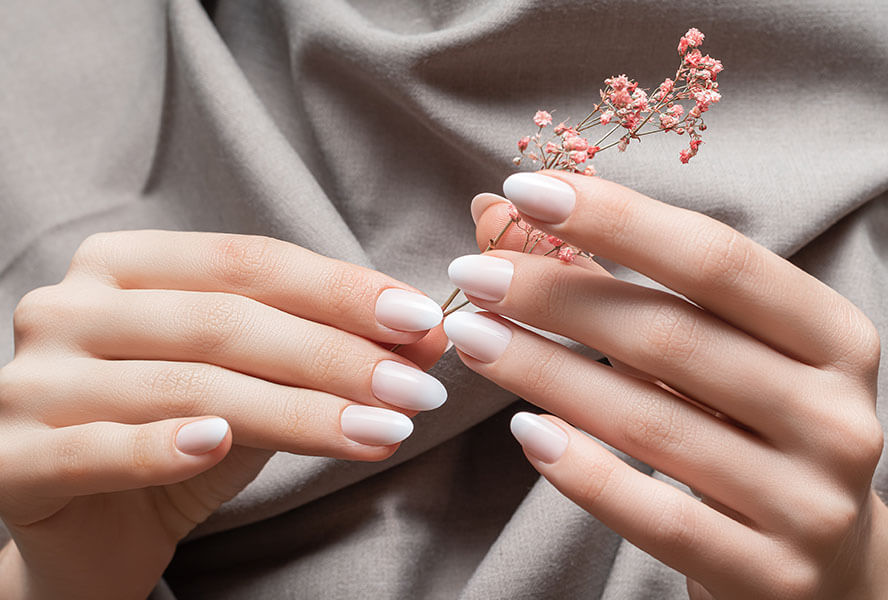 Hand mir schlicht lackierten Nägeln hält Blumen in der Hand