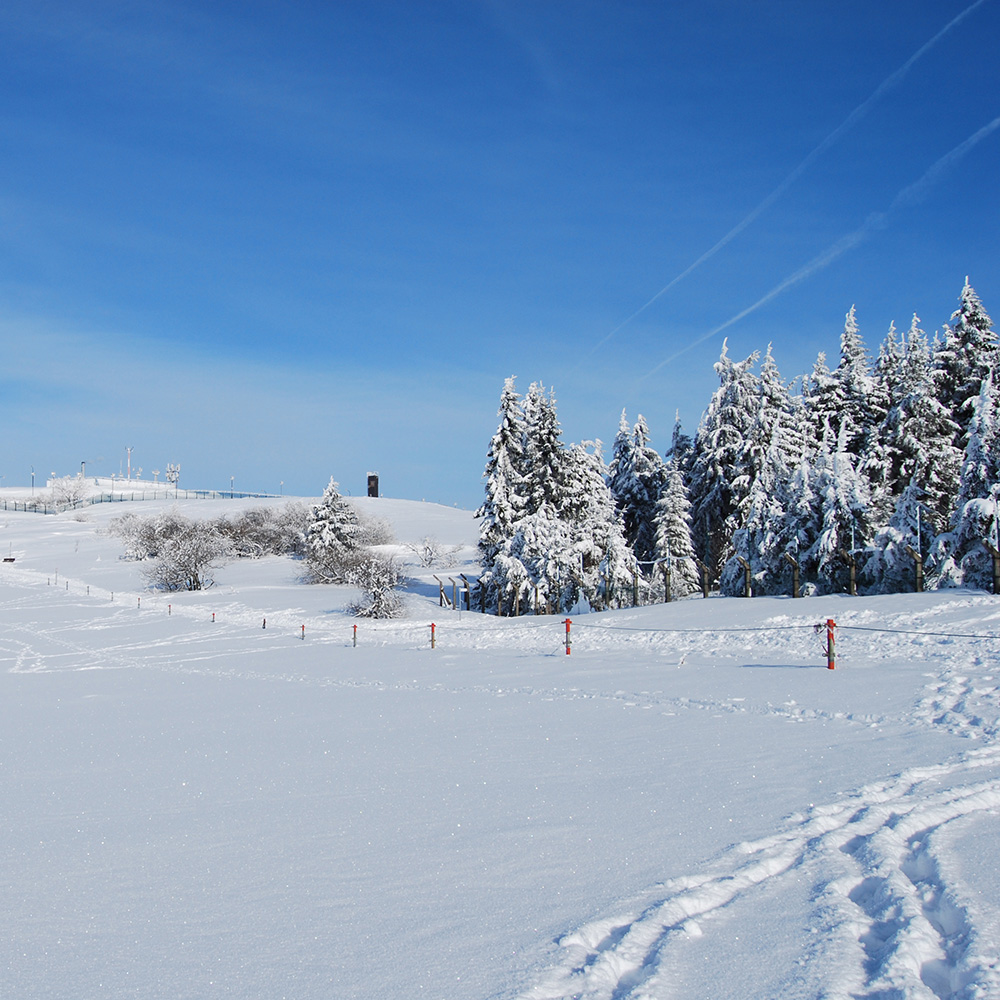 Schneebedeckte Landschaft