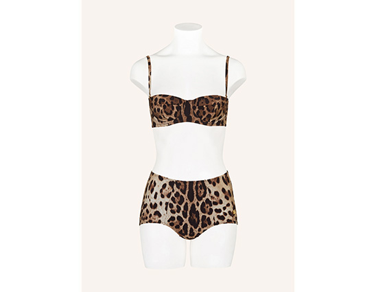 Animal Print-Bikini